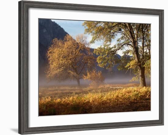 Yosemite Valley in Fall Foliage-Craig Lovell-Framed Photographic Print