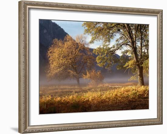 Yosemite Valley in Fall Foliage-Craig Lovell-Framed Photographic Print