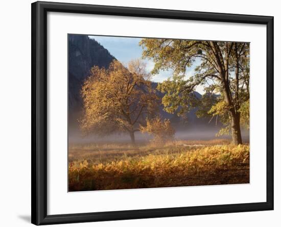 Yosemite Valley in Fall Foliage-Craig Lovell-Framed Photographic Print