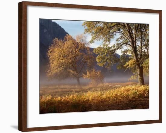 Yosemite Valley in Fall Foliage-Craig Lovell-Framed Photographic Print