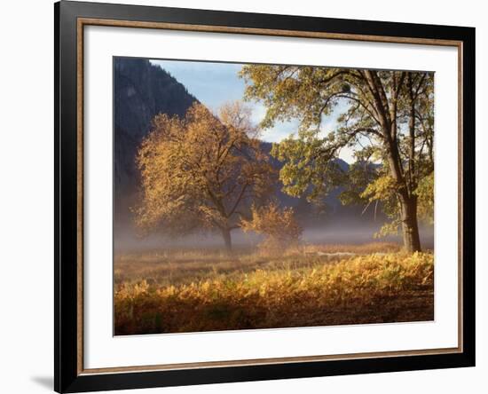 Yosemite Valley in Fall Foliage-Craig Lovell-Framed Photographic Print