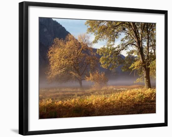 Yosemite Valley in Fall Foliage-Craig Lovell-Framed Photographic Print