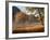 Yosemite Valley in Fall Foliage-Craig Lovell-Framed Photographic Print