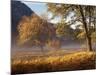 Yosemite Valley in Fall Foliage-Craig Lovell-Mounted Photographic Print