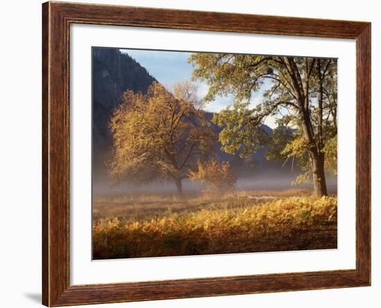 Yosemite Valley in Fall Foliage-Craig Lovell-Framed Photographic Print