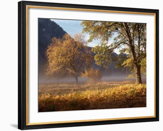 Yosemite Valley in Fall Foliage-Craig Lovell-Framed Photographic Print