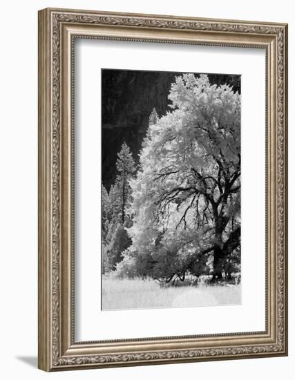 Yosemite Valley in infrared black and white, Yosemite National Park, California-Adam Jones-Framed Photographic Print