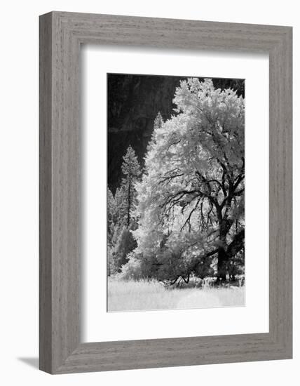 Yosemite Valley in infrared black and white, Yosemite National Park, California-Adam Jones-Framed Photographic Print