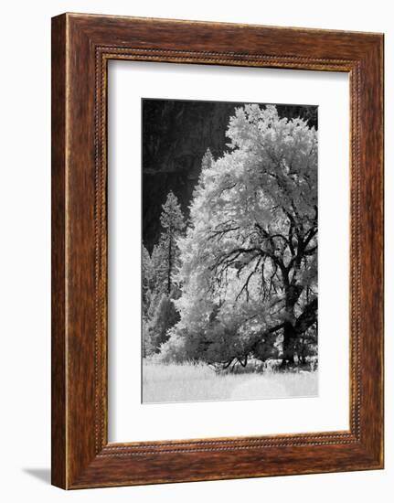 Yosemite Valley in infrared black and white, Yosemite National Park, California-Adam Jones-Framed Photographic Print