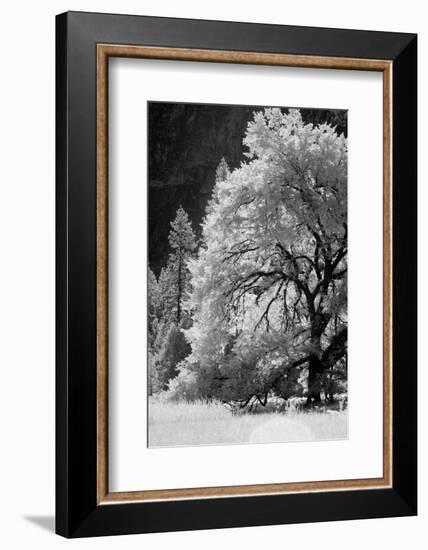 Yosemite Valley in infrared black and white, Yosemite National Park, California-Adam Jones-Framed Photographic Print