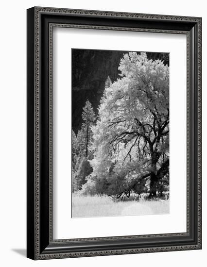 Yosemite Valley in infrared black and white, Yosemite National Park, California-Adam Jones-Framed Photographic Print