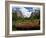 Yosemite Valley-Philippe Sainte-Laudy-Framed Photographic Print