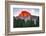 Yosemite-Marco Carmassi-Framed Photographic Print