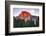 Yosemite-Marco Carmassi-Framed Photographic Print