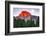 Yosemite-Marco Carmassi-Framed Photographic Print