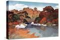 Stretched Canvas Print