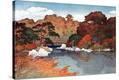Stretched Canvas Print