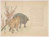 Oxen, January 1853-Yoshimura K?iitsu-Framed Premier Image Canvas