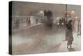 Stretched Canvas Print