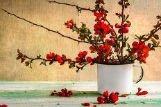 Still Life with a Bouquet of Barberry-Yotka-Photographic Print