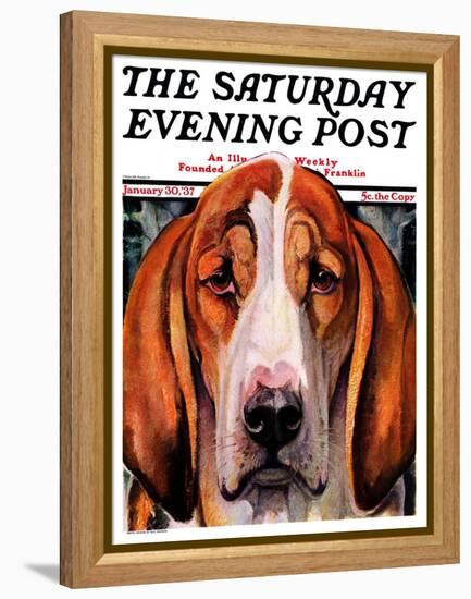"You Ain't Nothing But a Hounddog," Saturday Evening Post Cover, January 30, 1937-Paul Bransom-Framed Premier Image Canvas