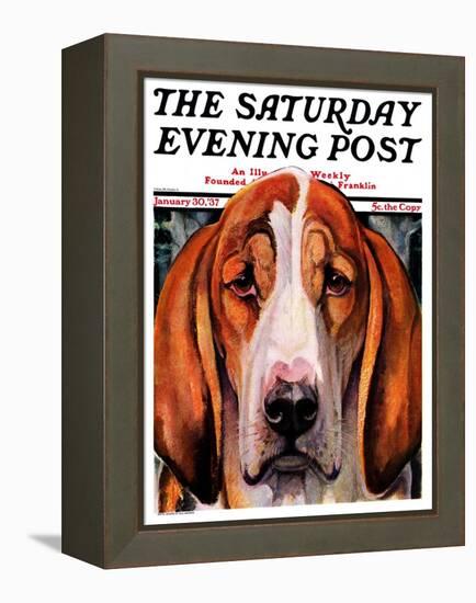 "You Ain't Nothing But a Hounddog," Saturday Evening Post Cover, January 30, 1937-Paul Bransom-Framed Premier Image Canvas