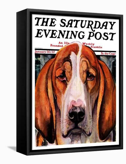 "You Ain't Nothing But a Hounddog," Saturday Evening Post Cover, January 30, 1937-Paul Bransom-Framed Premier Image Canvas