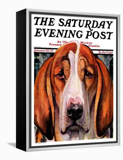 "You Ain't Nothing But a Hounddog," Saturday Evening Post Cover, January 30, 1937-Paul Bransom-Framed Premier Image Canvas