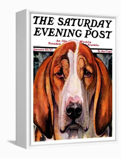 "You Ain't Nothing But a Hounddog," Saturday Evening Post Cover, January 30, 1937-Paul Bransom-Framed Premier Image Canvas