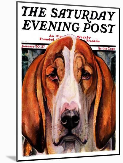 "You Ain't Nothing But a Hounddog," Saturday Evening Post Cover, January 30, 1937-Paul Bransom-Mounted Giclee Print