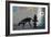 You Complete Me-Banksy-Framed Giclee Print