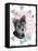 You Had Me At Woof-Rachael Hale-Framed Stretched Canvas