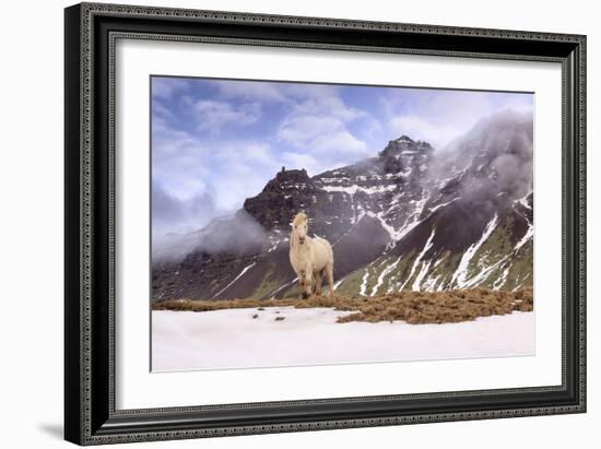 You Looking at Me-Michael Blanchette-Framed Photographic Print