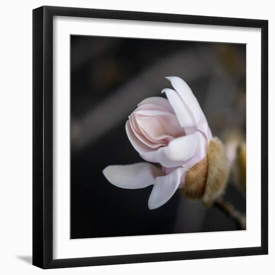 You Missed Me-Philippe Sainte-Laudy-Framed Photographic Print