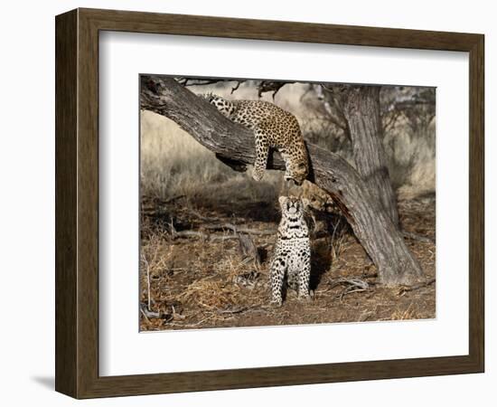 You're Kidding, Right!-Art Wolfe-Framed Photographic Print