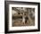 You're Kidding, Right!-Art Wolfe-Framed Photographic Print