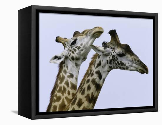 You're Mine 1-Art Wolfe-Framed Premier Image Canvas