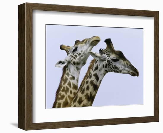 You're Mine 1-Art Wolfe-Framed Photographic Print