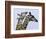 You're Mine 1-Art Wolfe-Framed Photographic Print