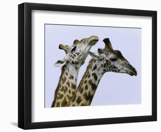 You're Mine 1-Art Wolfe-Framed Photographic Print