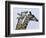 You're Mine 1-Art Wolfe-Framed Photographic Print