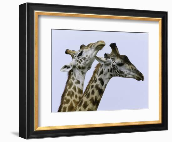 You're Mine 1-Art Wolfe-Framed Photographic Print