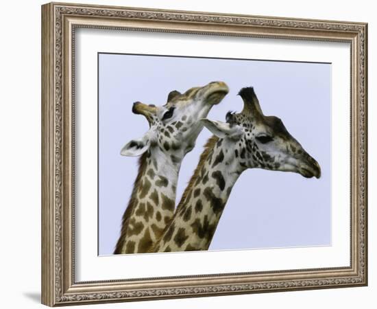 You're Mine 1-Art Wolfe-Framed Photographic Print