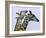 You're Mine 1-Art Wolfe-Framed Photographic Print