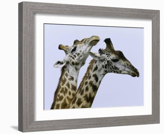 You're Mine 1-Art Wolfe-Framed Photographic Print