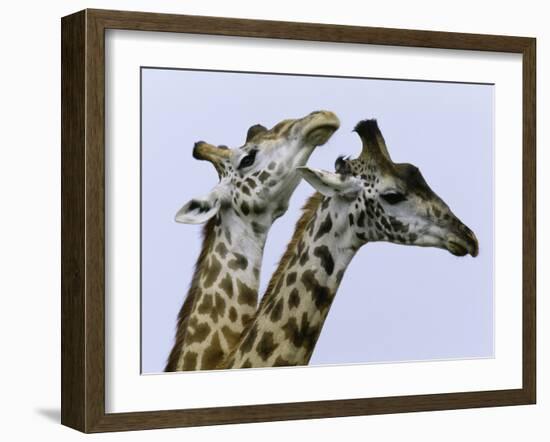 You're Mine 1-Art Wolfe-Framed Photographic Print