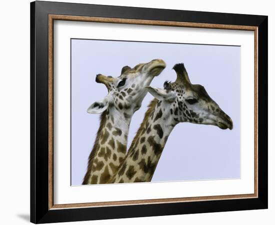 You're Mine 1-Art Wolfe-Framed Photographic Print