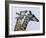 You're Mine 1-Art Wolfe-Framed Photographic Print