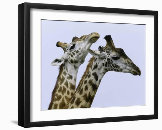 You're Mine 1-Art Wolfe-Framed Photographic Print