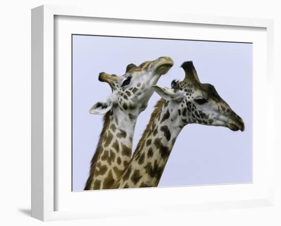 You're Mine 1-Art Wolfe-Framed Photographic Print